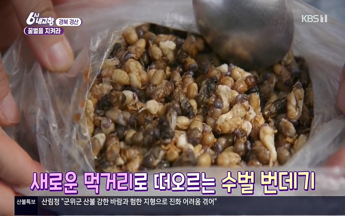 6시 내고향.E7508.220412p.H264-F1RST.mp4_20220417_184819.223.jpg