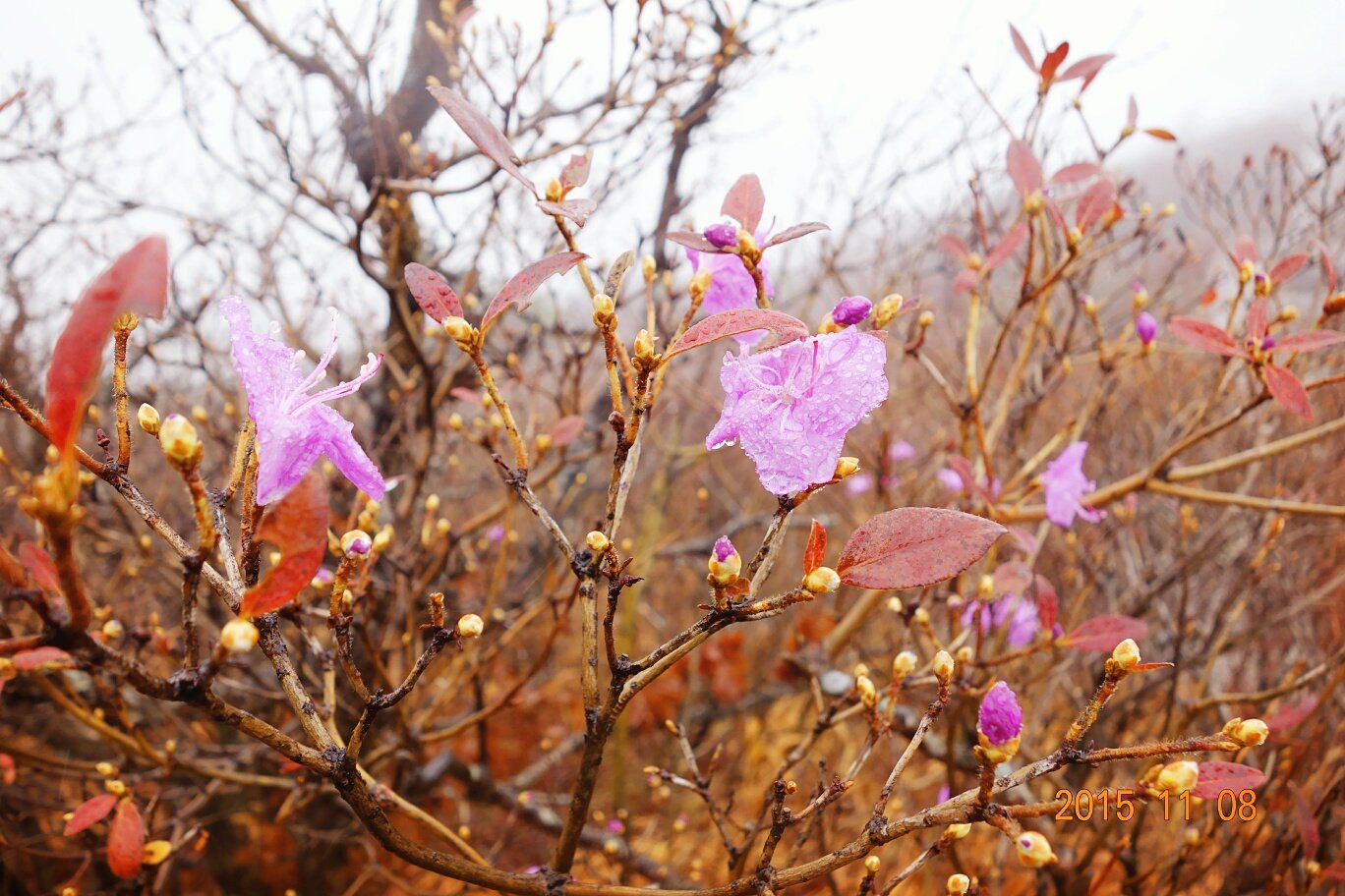 신불산휴게소 이미지