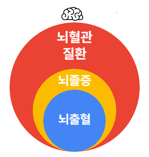  종합보험-뇌혈관질환 (요점정리)