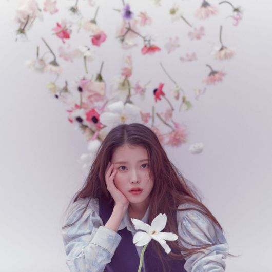  아이유 소속사 해명, 팬 사이에서 나온 논란에 대해 "오해. 작가의 개인 판단"