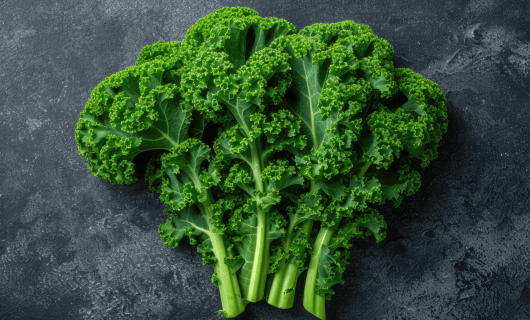  알고 먹으면 효과는 100배 UP, 라키나토 케일(Kale Lacinato) 효능 7가지