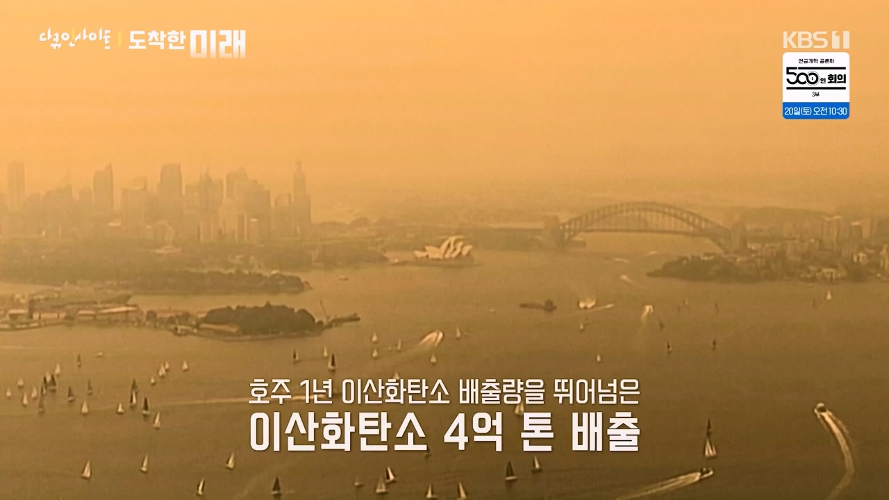 다큐 인사이트.E185.240419p-NEXT.mp4_20240420_161118.685.jpg