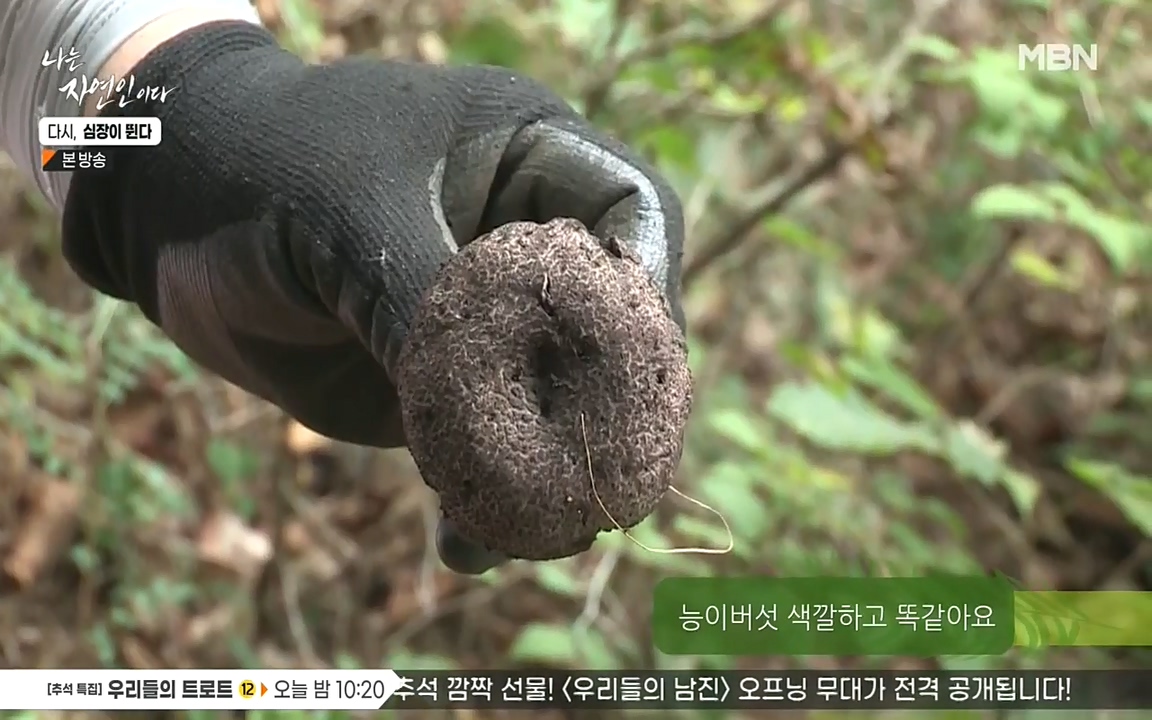 나는 자연인이다.E519.220915p-NEXT.mp4_20220915_194543.404.jpg