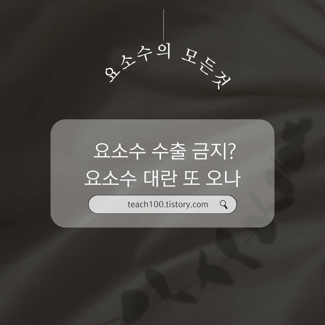  요소수 수출 금지, 요소수 대란 또?(요소수 역할, 수입처, 관련주)