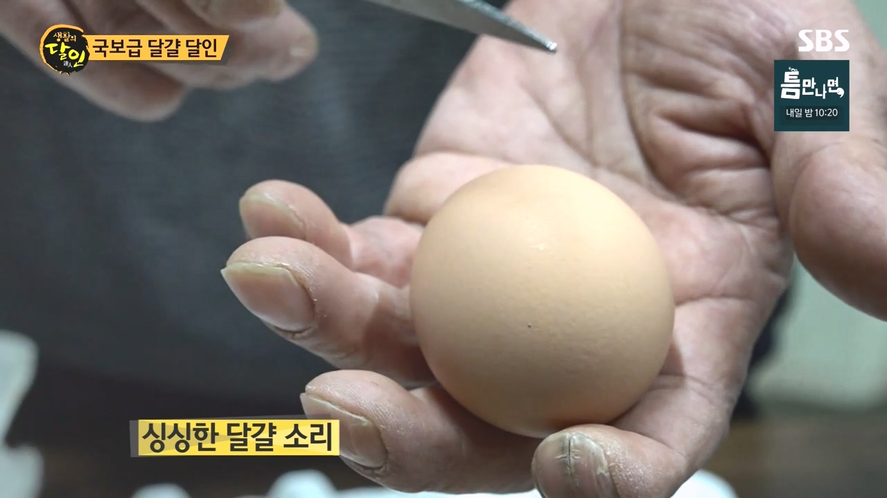 생활의 달인.E934.240507p-NEXT.mp4_20240507_194137.036.jpg