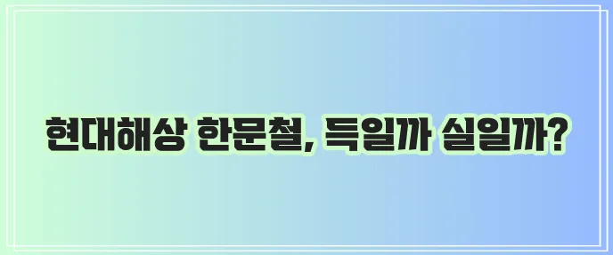 현대해상 한문철 다이렉트 운전자보험 청구 비교 꼭 확인하세요!