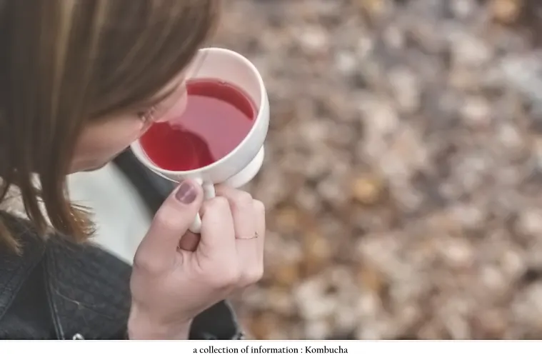 kombucha