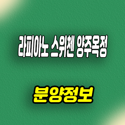  라피아노 스위첸 양주옥정 타운하우스 kcc건설 테라스하우스 계약조건 변경 및 견본주택 관