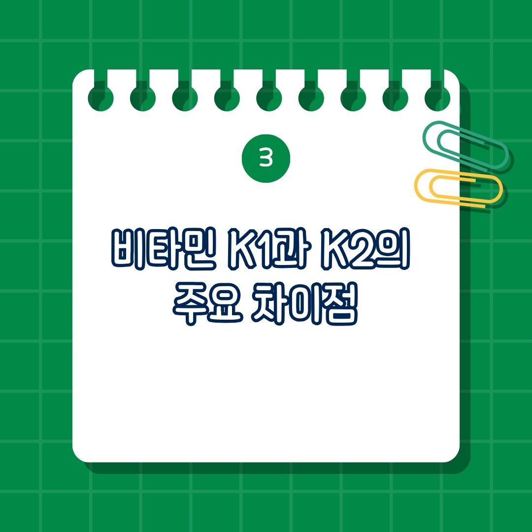 비타민 K1과 K2의 주요 차이점