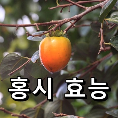  홍시 효능 6가지