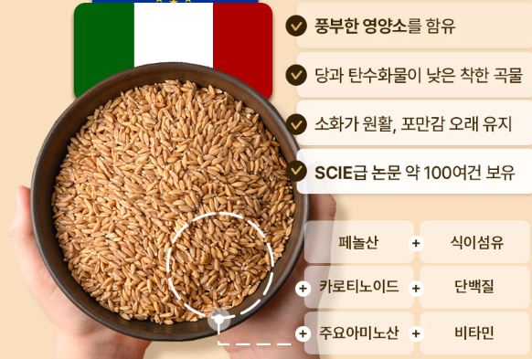 리셋 이미지