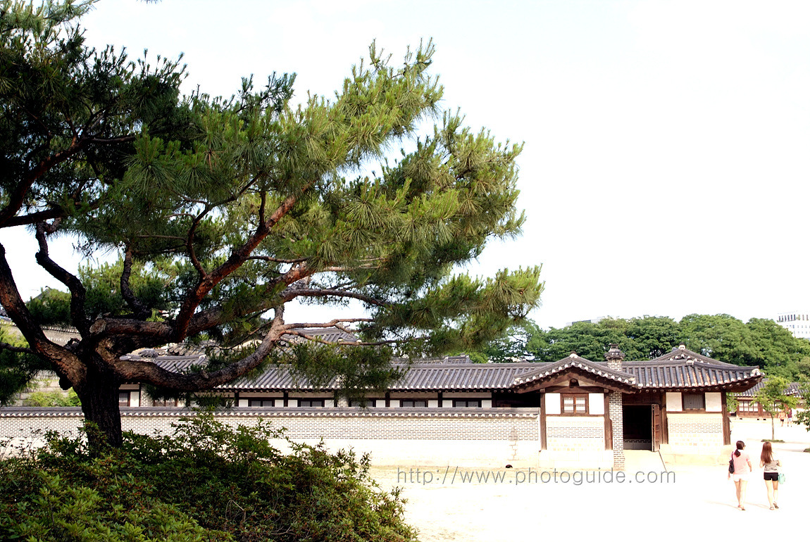 창덕궁 Changdeokgung Palace