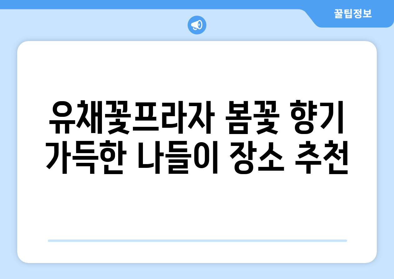 유채꽃프라자 봄꽃 향기 가득한 나들이 장소 추천