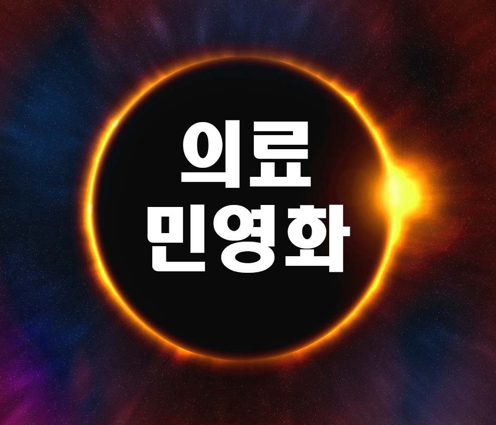  우리나라 국민 건강보험에 의료민영화를 도입하는 것에 대한 찬반을 작성하고 그 이유를 설명하시오.