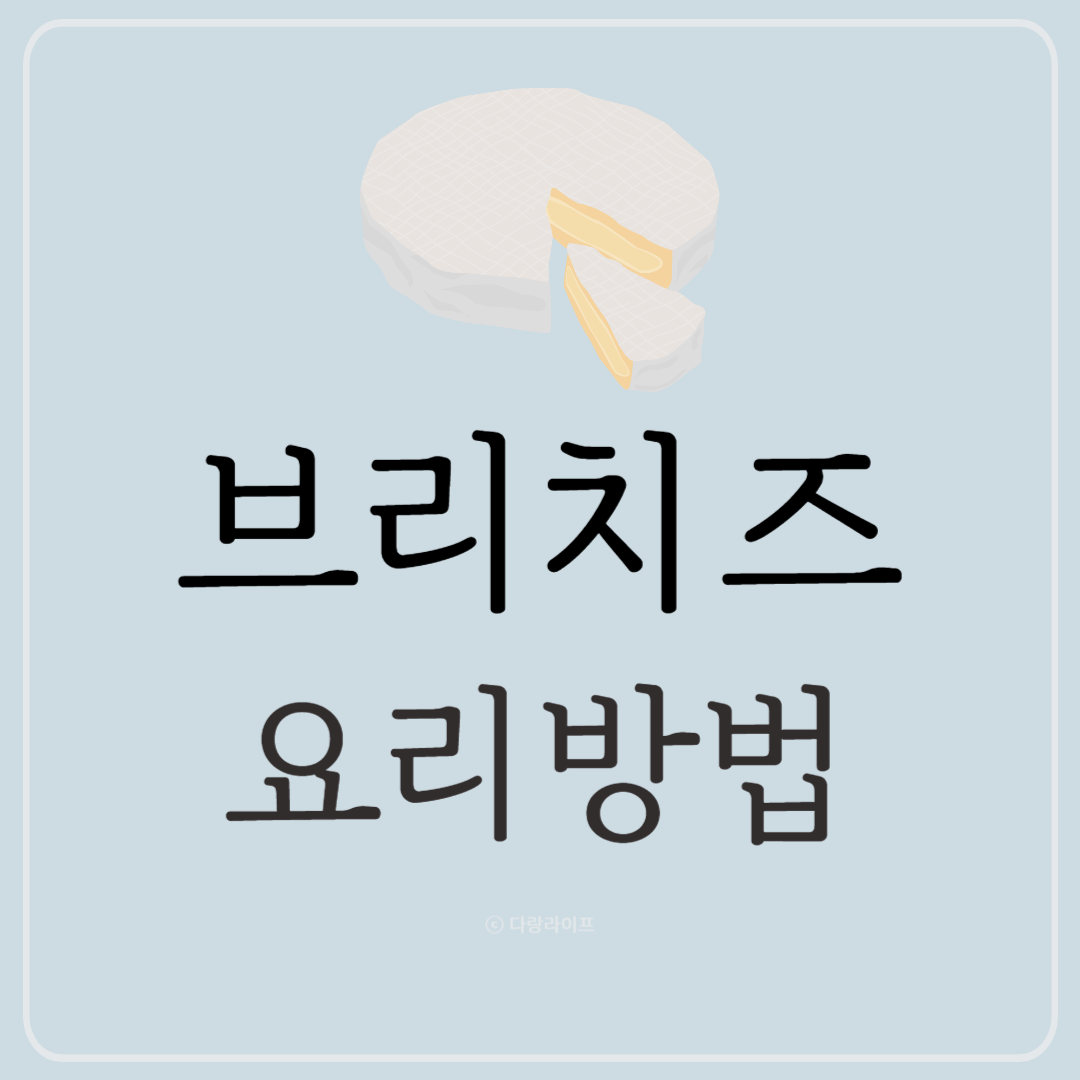 브리치즈란 브리치즈 요리 브리치즈 맛있게 먹는 방법 맛있게먹는법