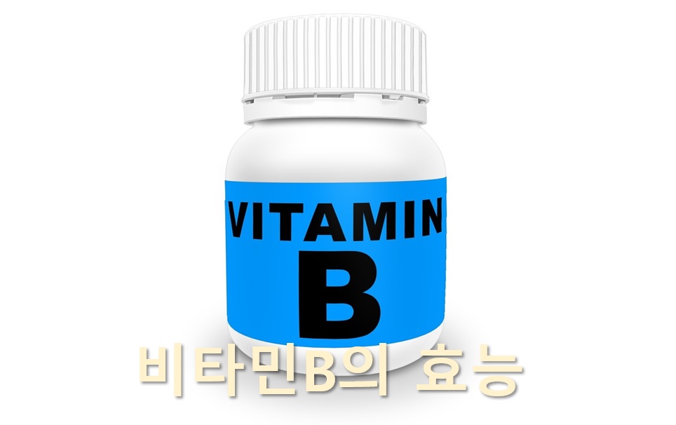  만성피로가 심하다면 피로회복을 위해서 비타민B 섭취