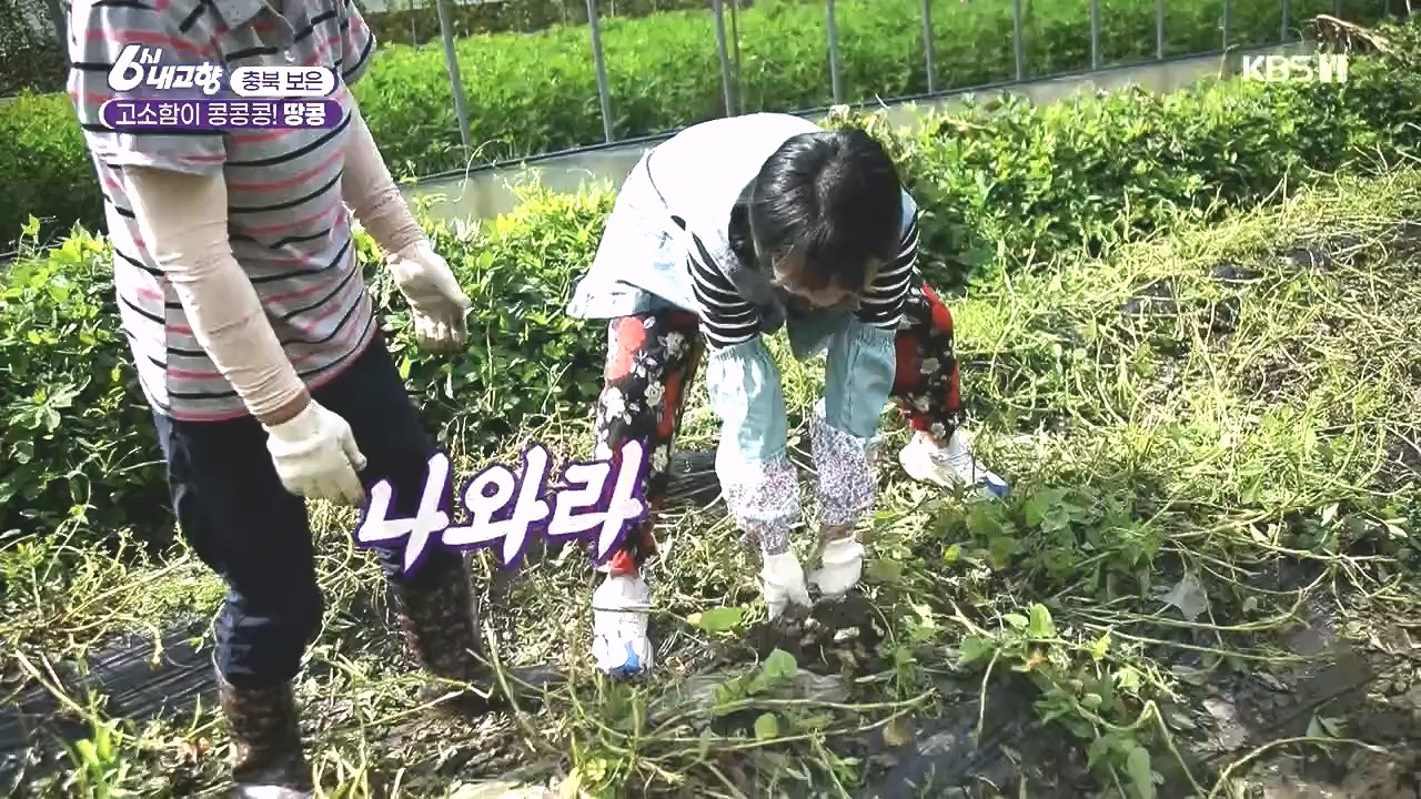 6시 내고향.E7892.231018p.H264-F1RST.mp4_20231018_194659.347.jpg