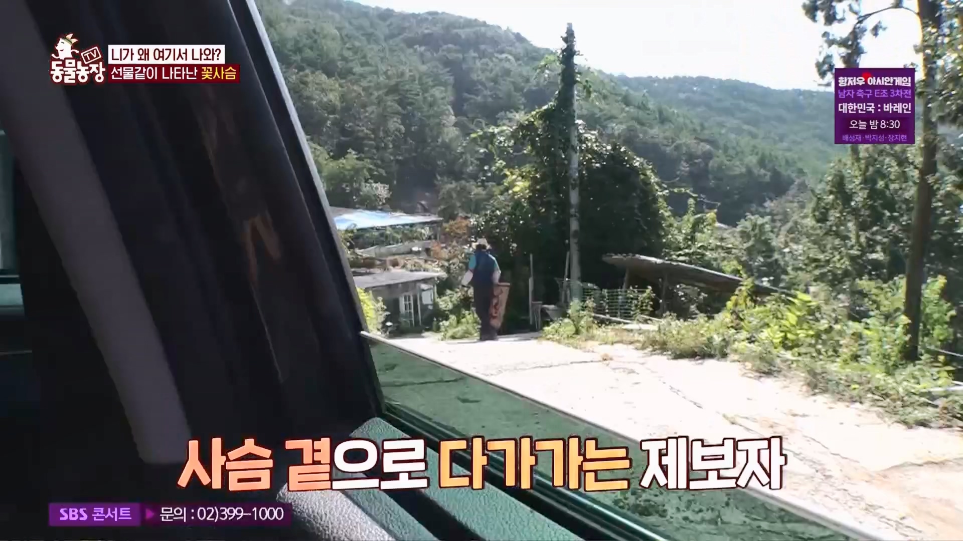 TV 동물농장.E1139.230924p.H264-F1RST.mp4_20230924_171452.549.jpg