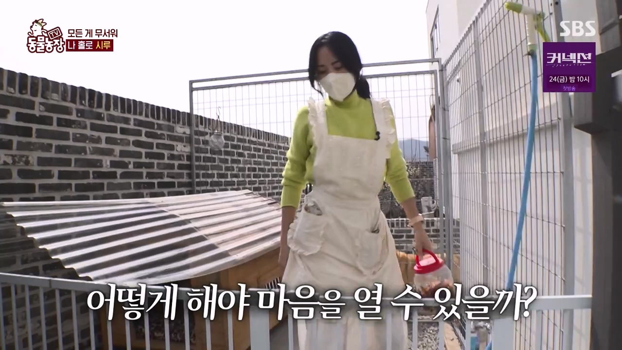 TV 동물농장.E1172.240520p-NEXT.mp4_20240519_165239.929.jpg