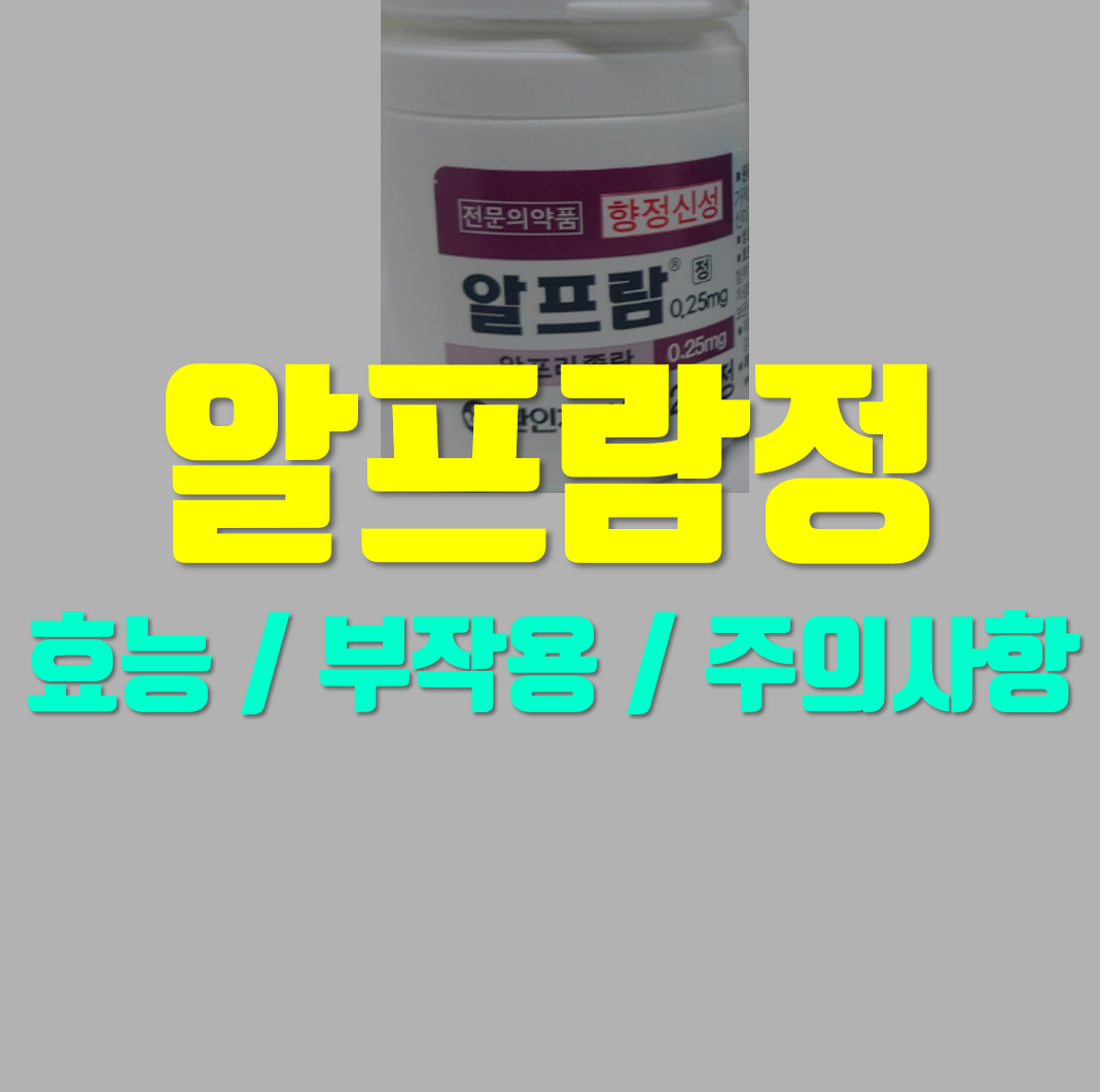  알프람정 0.25mg 언제 먹는 약 일까요?