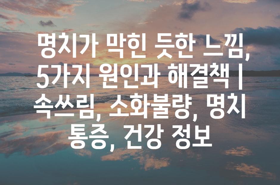 샘플 (81)