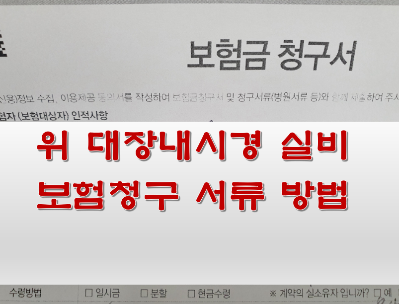  위 대장내시경 실비 보험청구 서류 방법