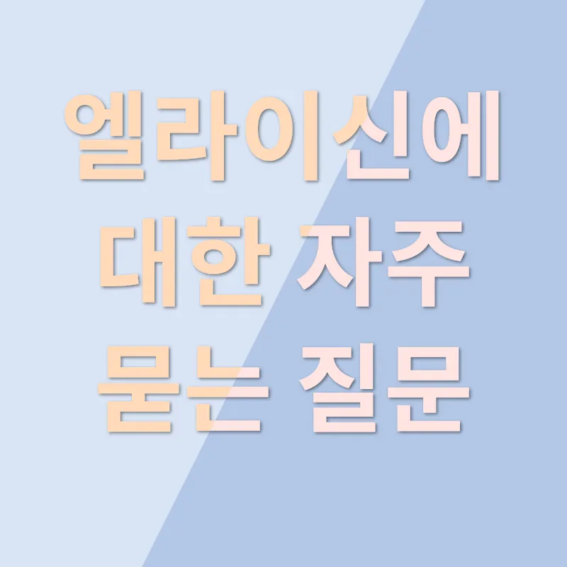 고양이 영양제 엘라이신_4