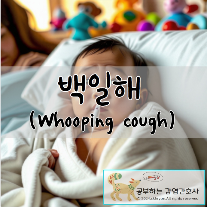 아동 간호_백일해(whooping cough)원인, 증상, 치료 및 간호 진단