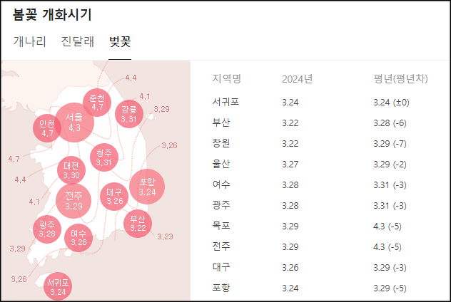 벚꽃 개화시기 설명