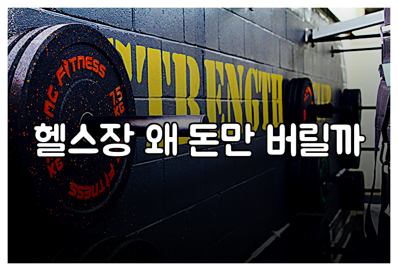 헬스장 왜 돈만 버릴까