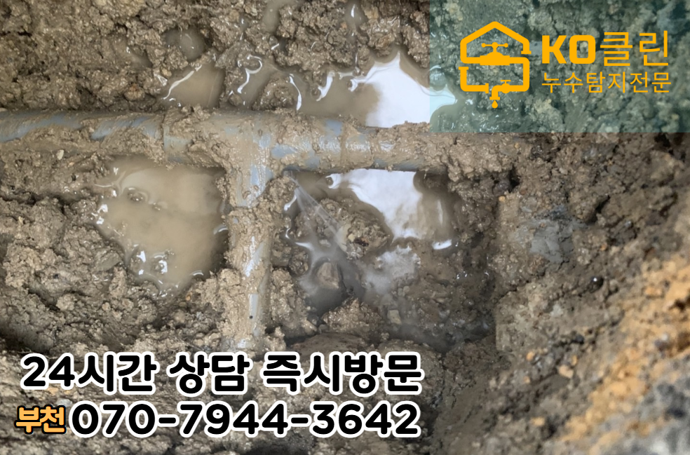 중동 아파트, 빌라, 상가건물3
