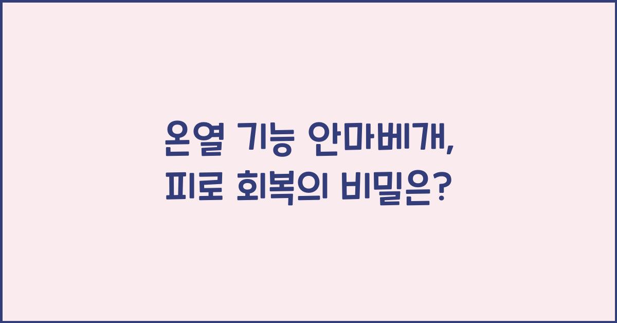 온열 기능 안마베개