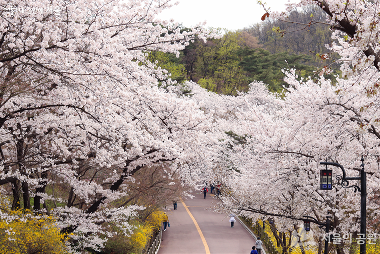 서울공원