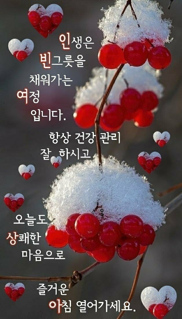 봄꽃 목련과 벚꽃이 한창입니다 / 꽃길만 걸으면 (03/23/22) 60