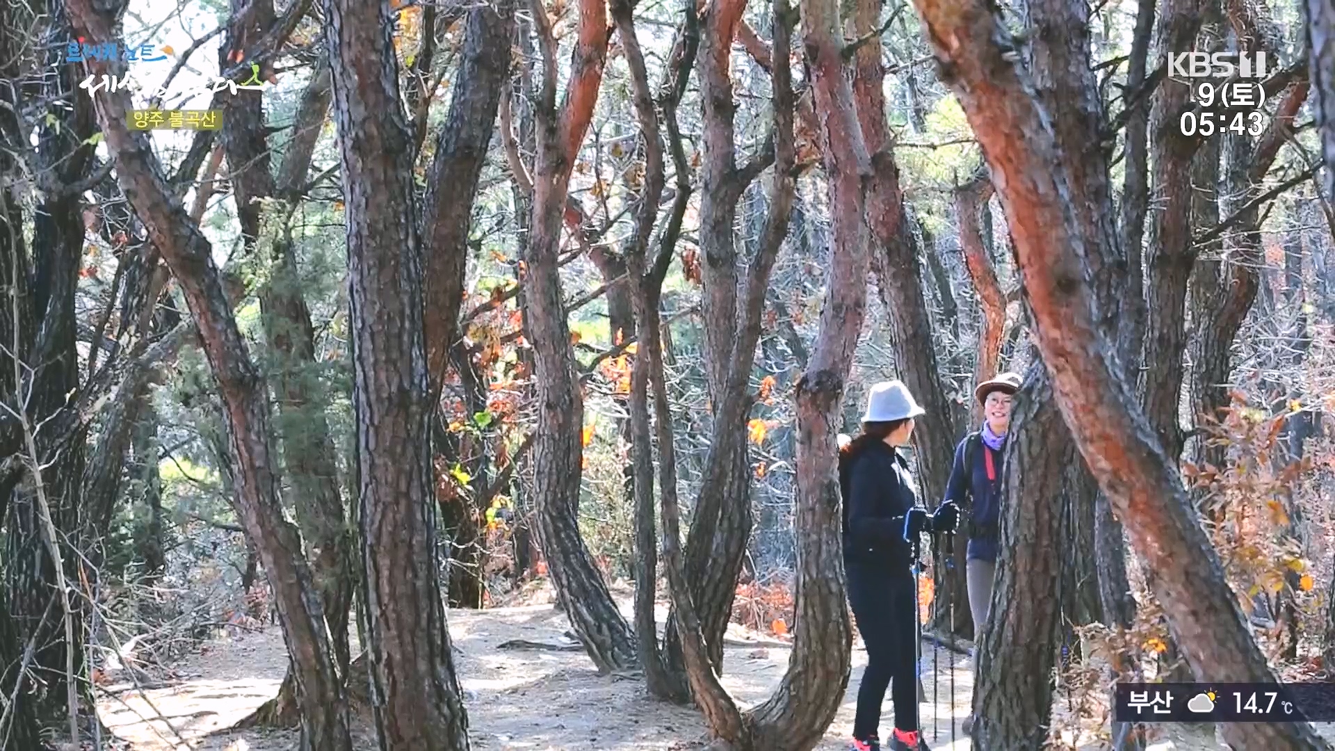 트레킹노트 세상을 걷다.E298.231209p.H264-F1RST.mp4_20240105_204644.276.jpg