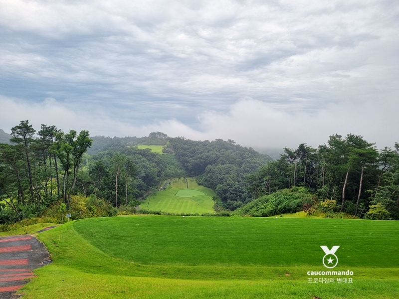 연예인 골프 순위 연예인들이 참여하는 4
