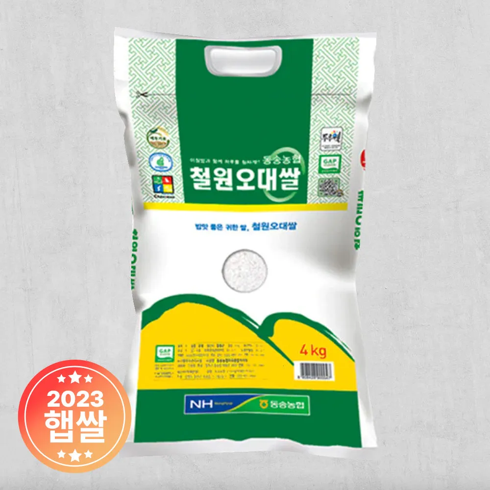 철원 가볼만한곳 베스트10 여행 코스 맛집_1