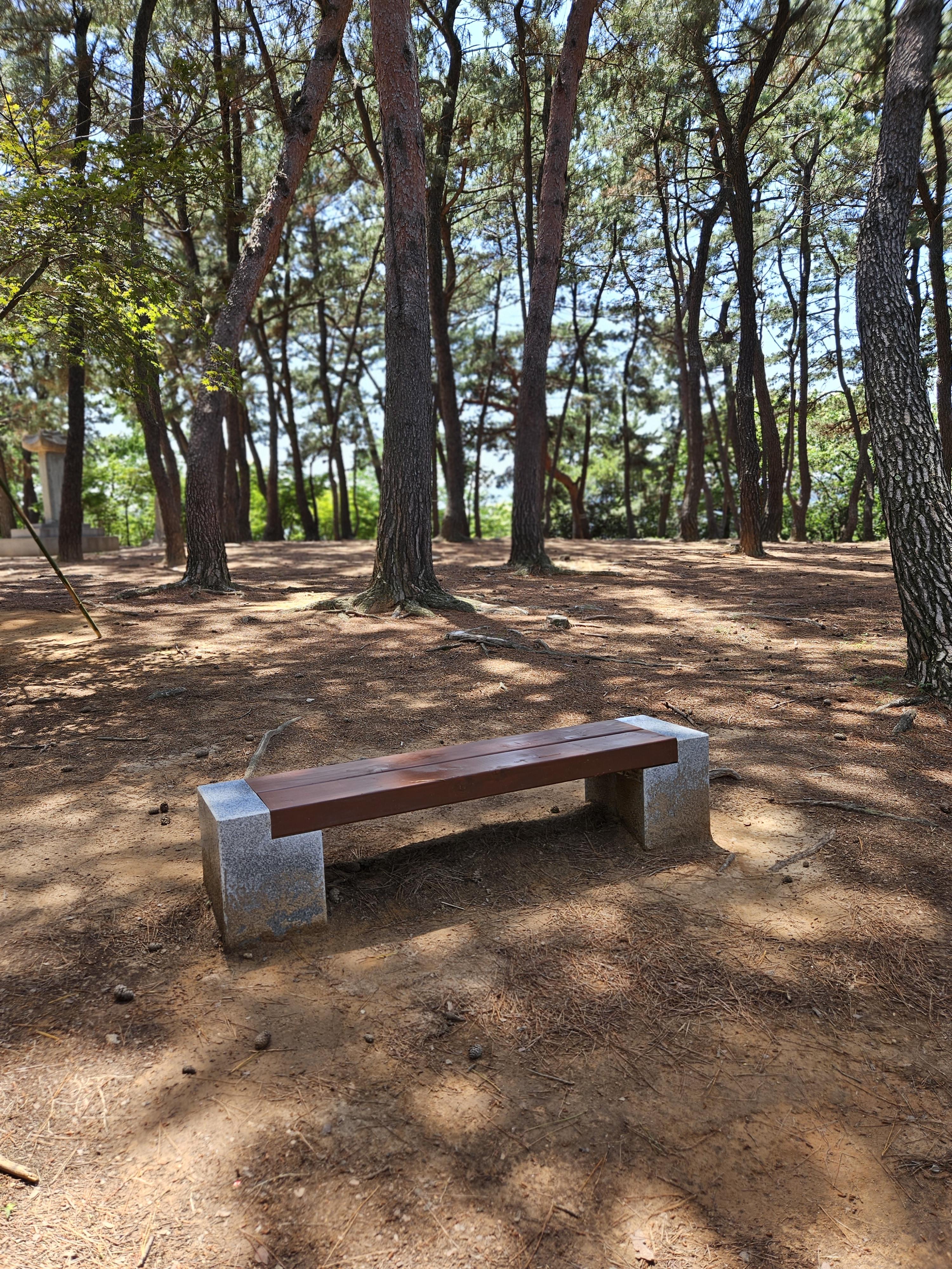 구지봉 소나무숲과 의자