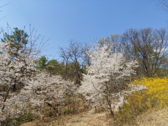 천보산 이미지