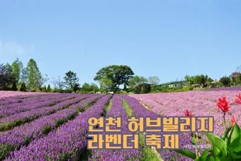 6월 국내여행 추천지 BEST 7곳 지금 떠나기 딱 좋은 완벽한 힐링 명소 총정리_20