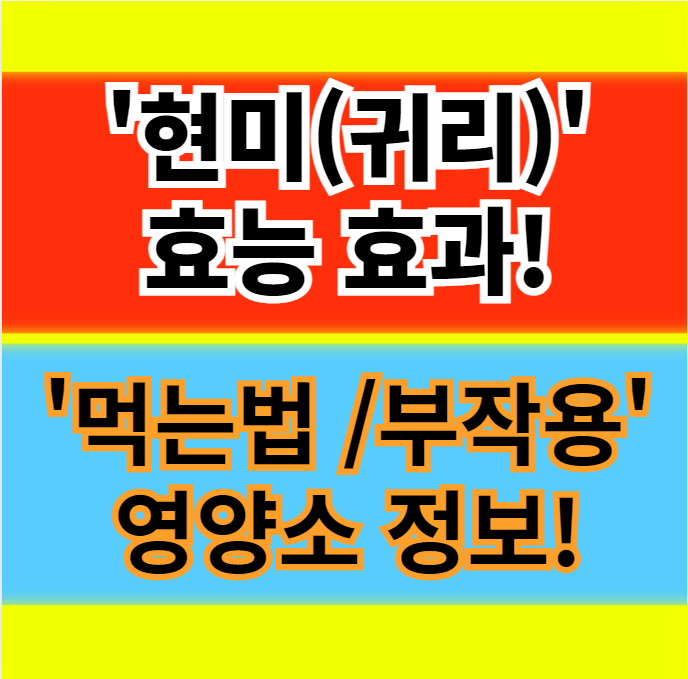  곡물의 왕 현미 귀리 효능 먹는법 부작용 영양소 정보