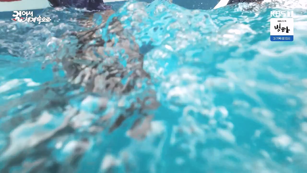 걸어서 세계속으로.E831.240218p-NEXT.mp4_20240802_212117.678.jpg