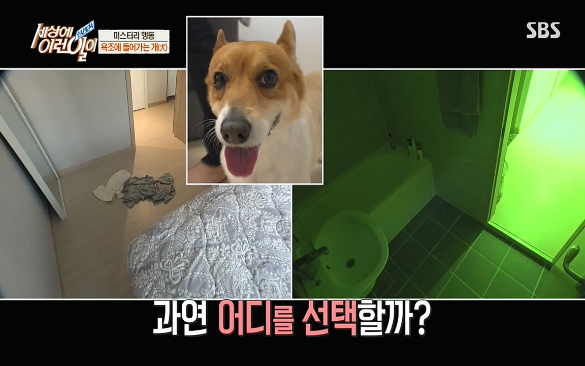 순간포착 세상에 이런일이.E1181.220525p-NEXT.mp4_20220525_202540.715.jpg