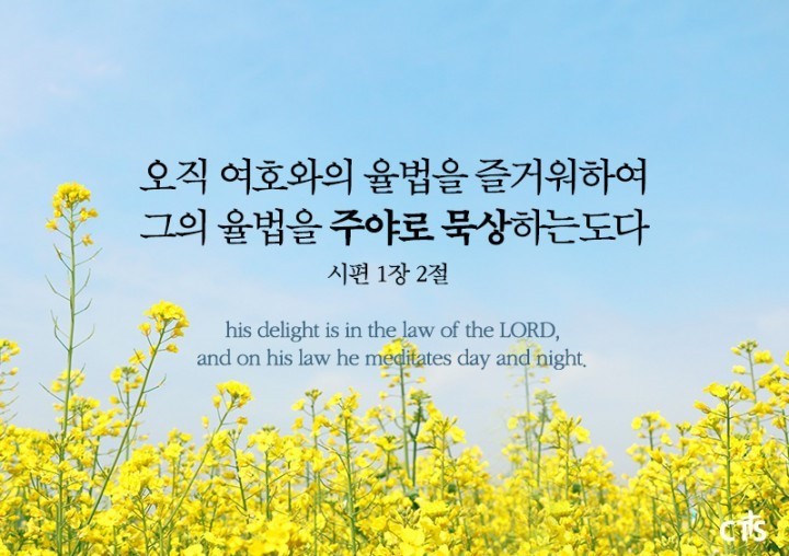 큐티 이미지