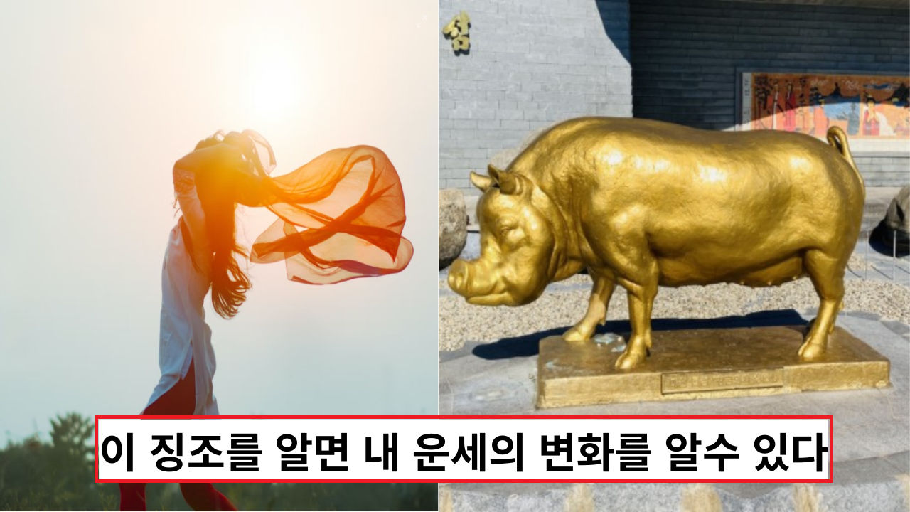  '대박! 이건 필독' 이 징조를 알면 내 운세의 변화를 알수 있다