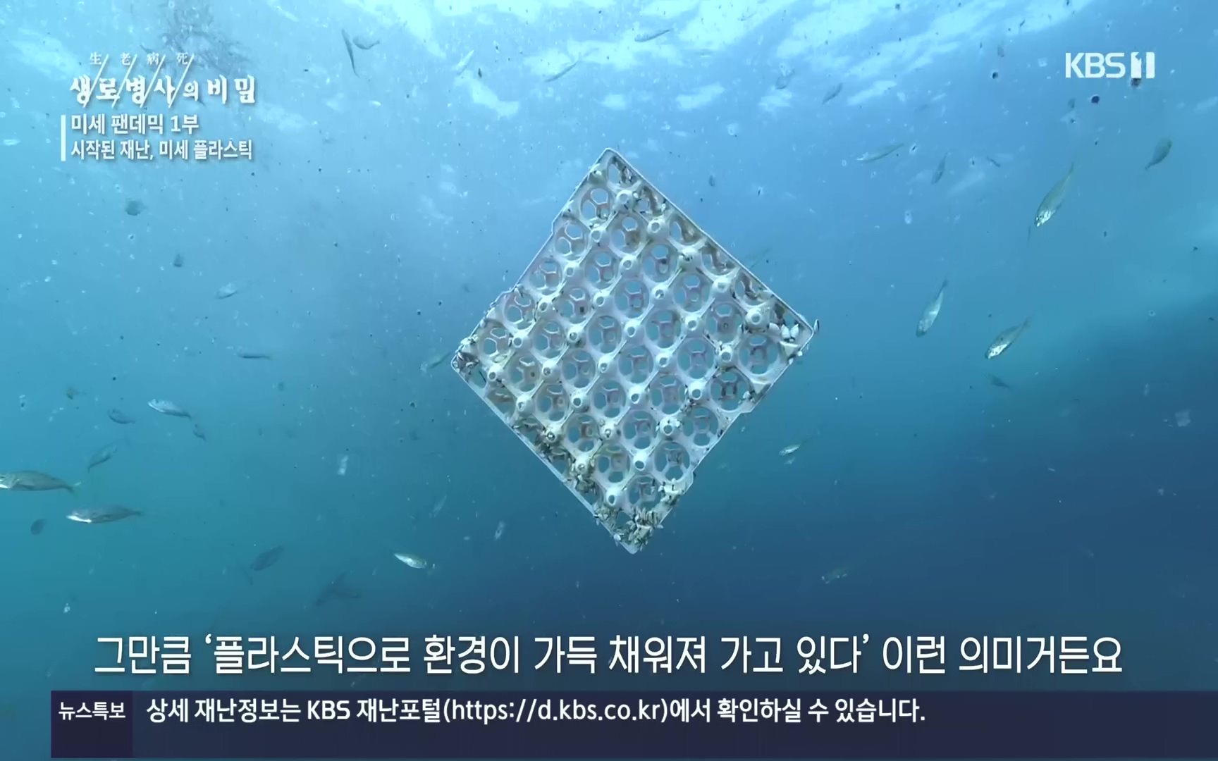 생로병사의 비밀.E839.221012p.H264-F1RST.mp4_20221013_201636.421.jpg