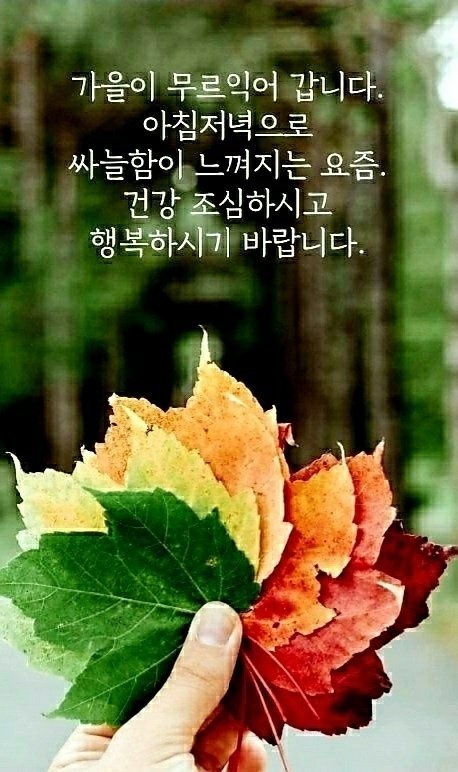  오늘의 경제뉴스 2022년 11월 14일 월요일