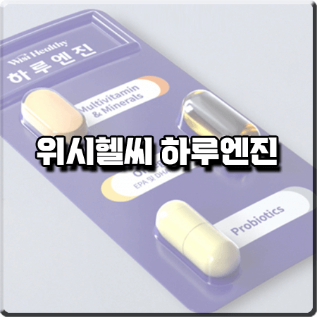  위시헬씨 하루엔진 성분 및 효능/먹는 법 등 총정리 : 올인원 영양제
