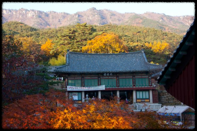 2024 경북 가을 단풍 명소: 절정 시기와 여행 팁&amp;#44; 꼭 가봐야 할 맛집 가이드