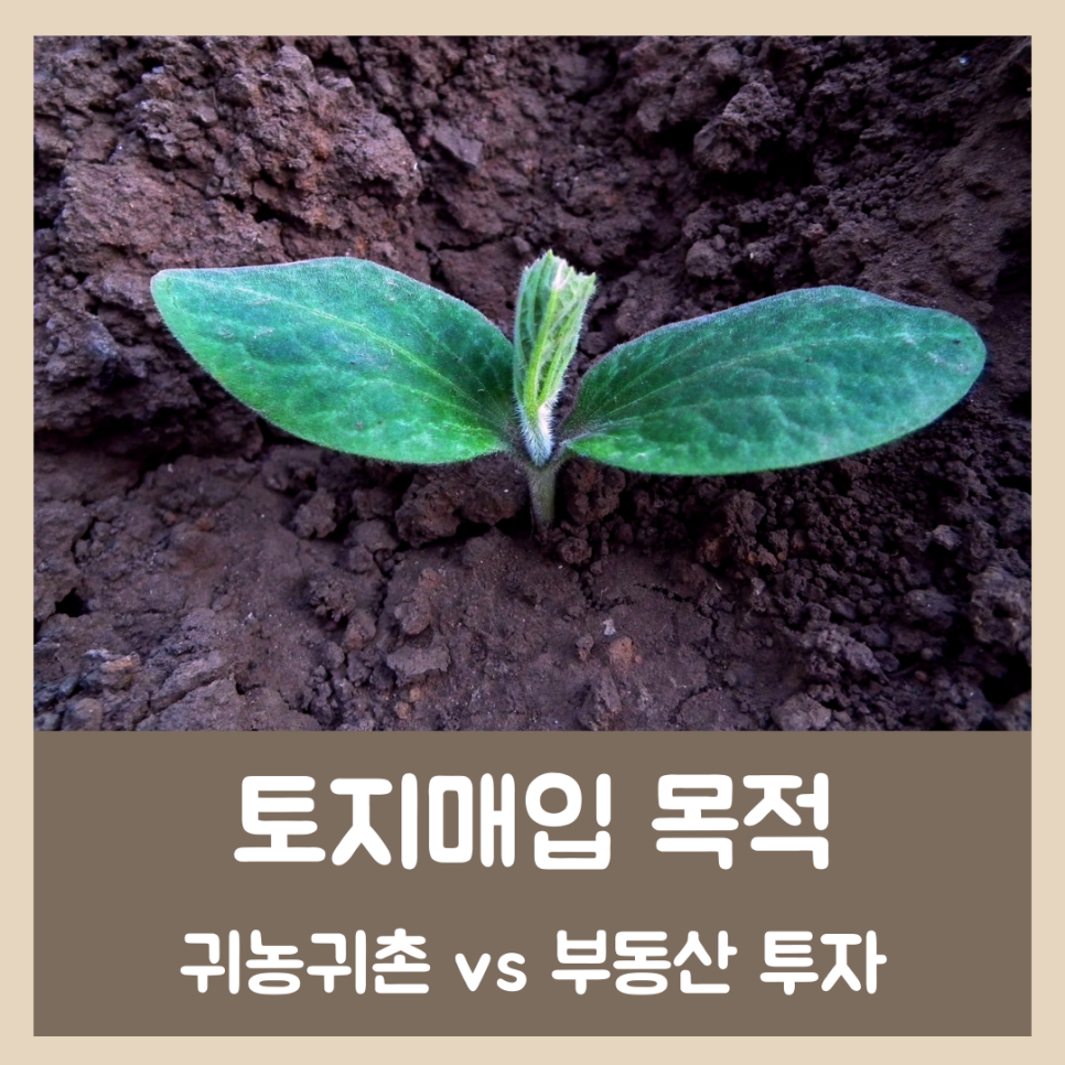 시골땅 토지 매매 주의점 8